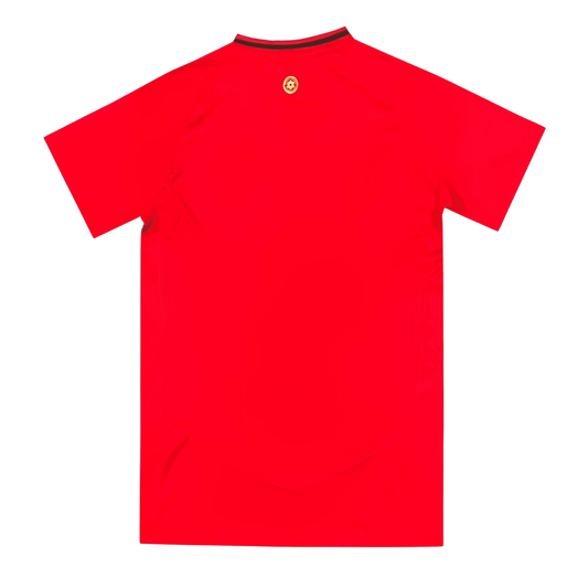 Wales domaći dres - 2024