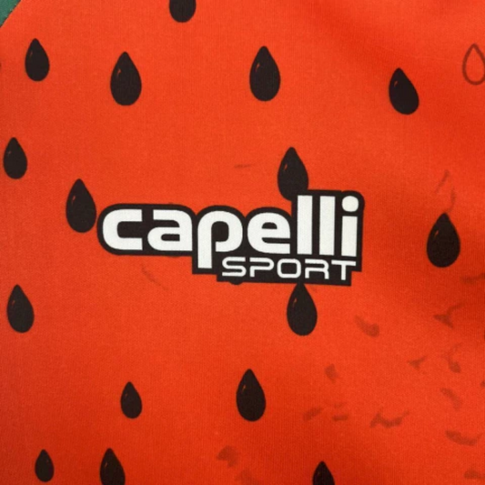 Palestina dres - 25/26