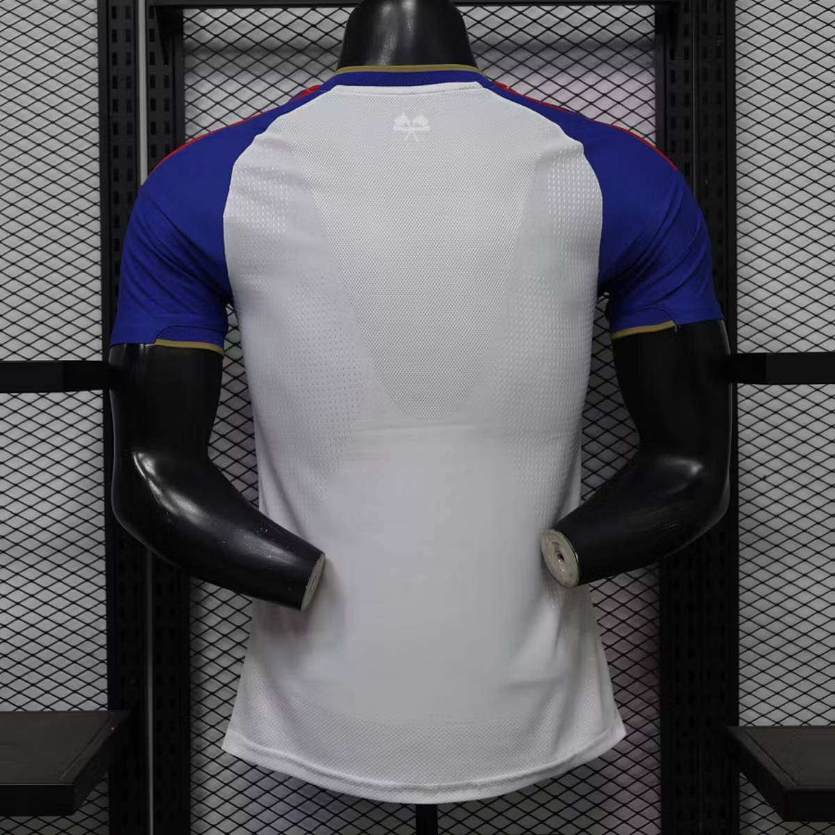 Lyon Player Verzija dres - 2026/27