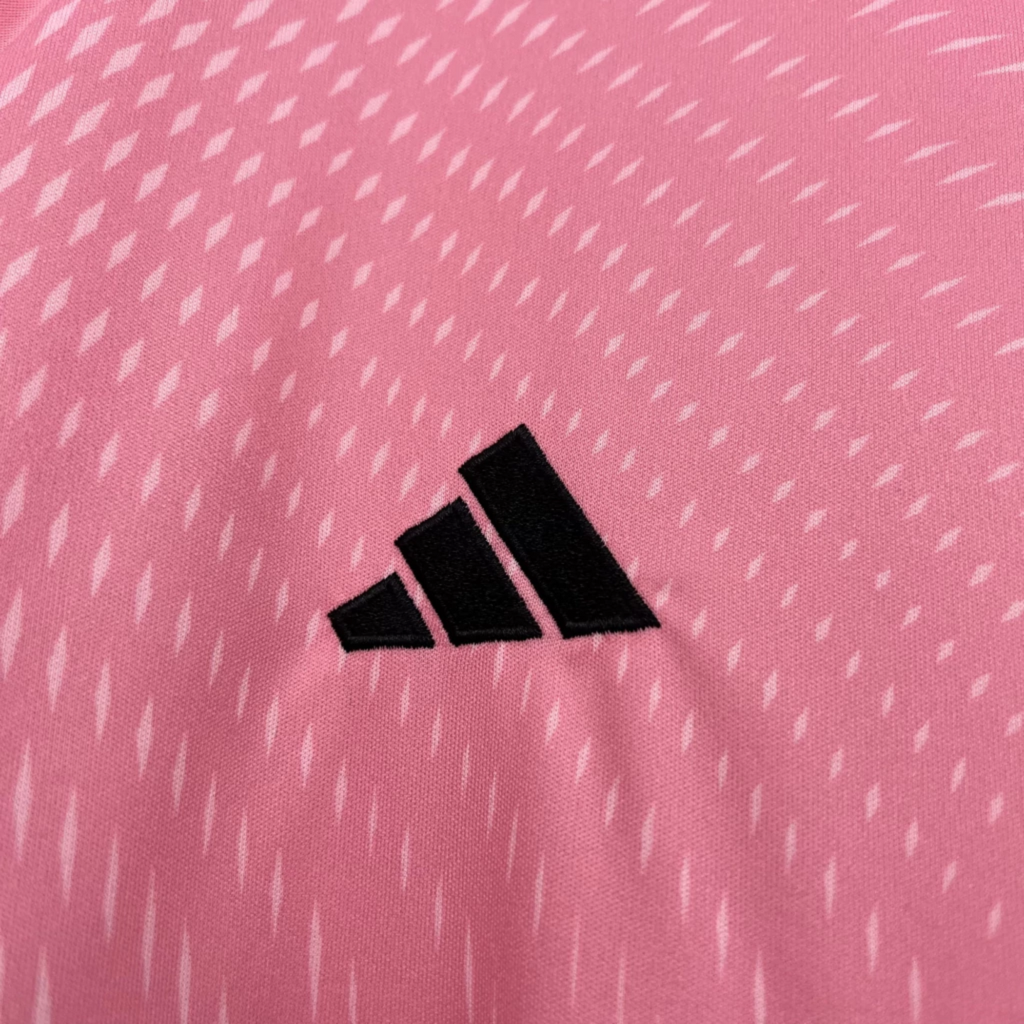 Benfica Special Edition dres - 25/26