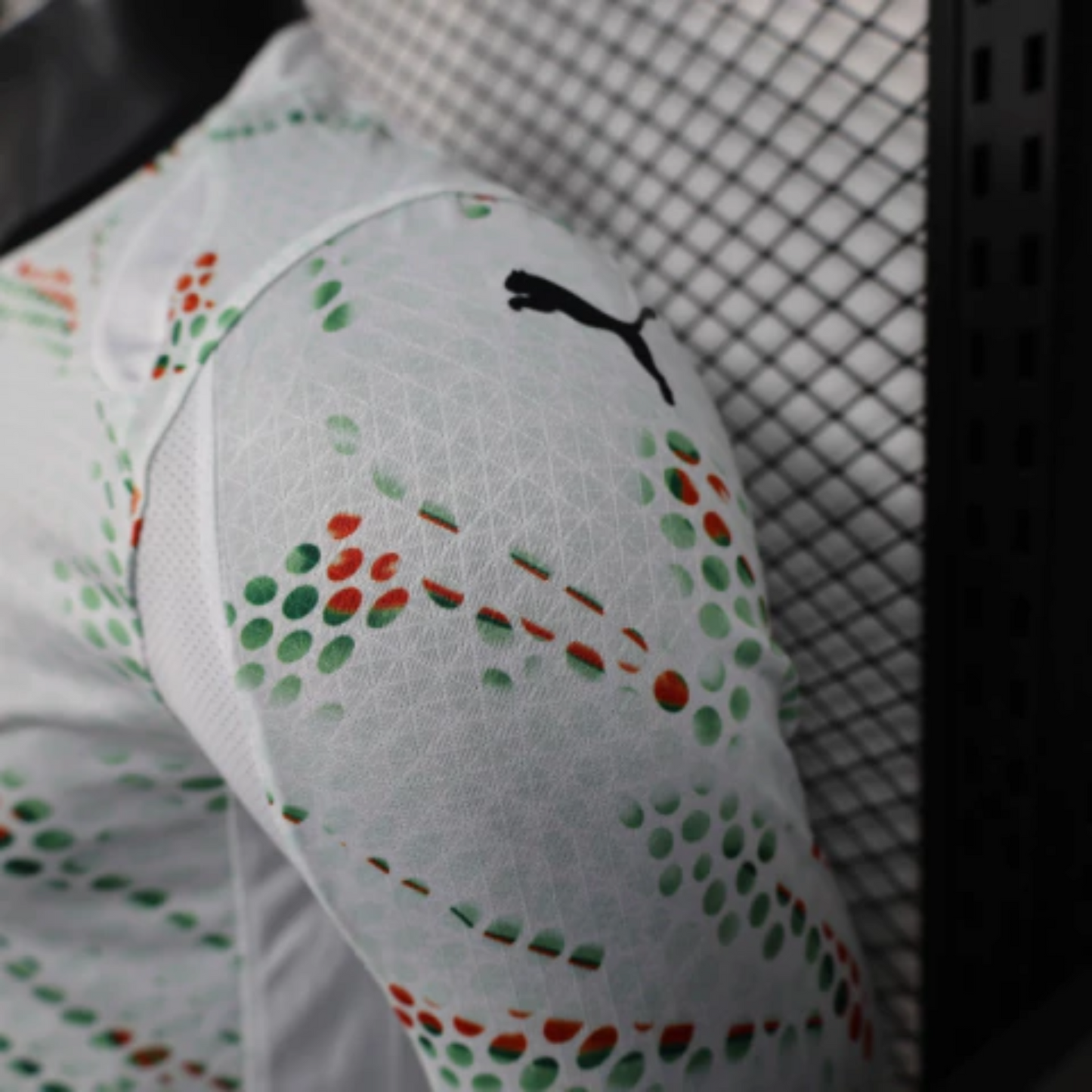 Portugal Player Verzija Dugi Rukav dres - 2025