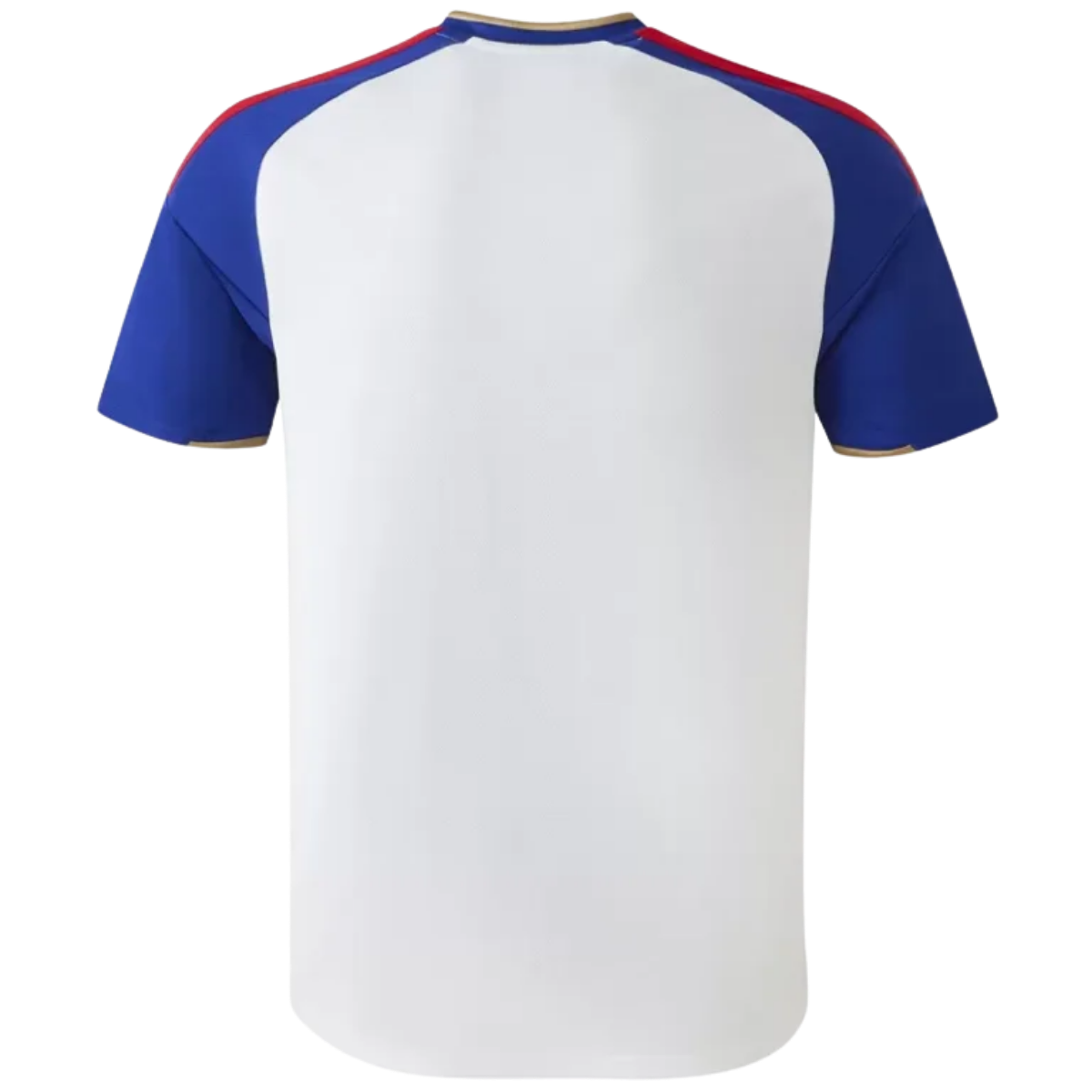 Olympique Lyonnais Fan Verzija dres - 2026/27